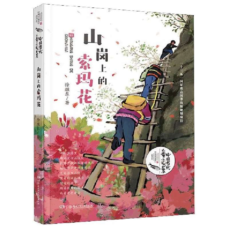 音像山岗上的索玛花/中国当代儿童小说大系徐继东