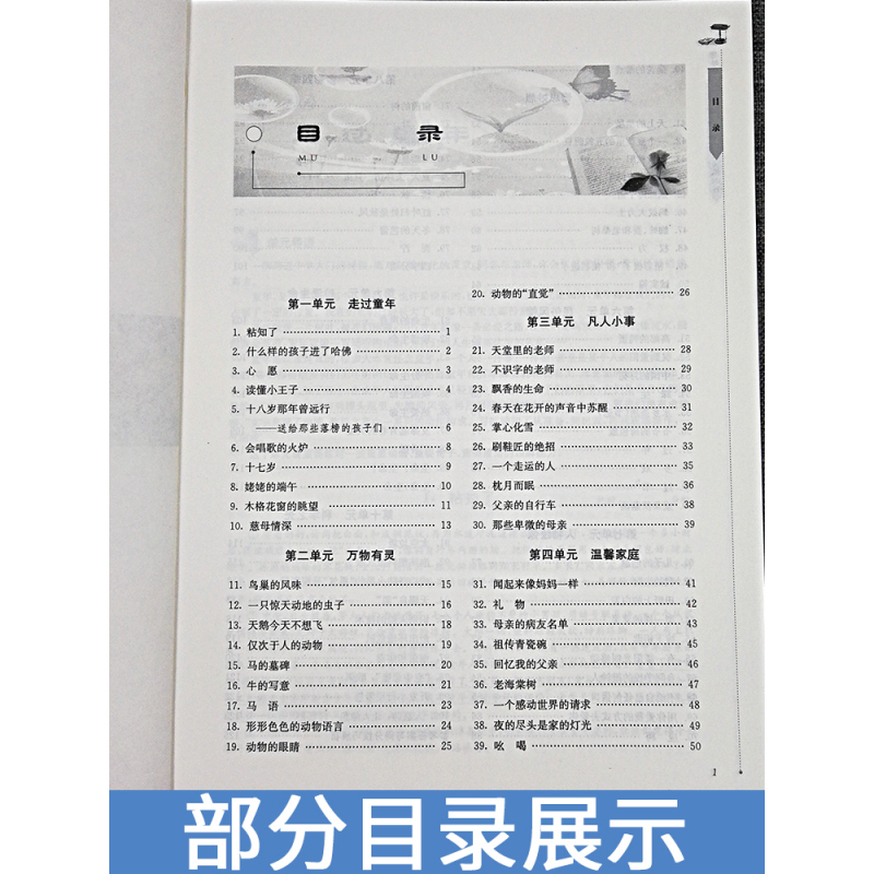 [正版]全新这 现代文阅读高分突破训练100篇 七年级 7年级 沈玉忠 高分阅读系列江苏版 南京大学出版社