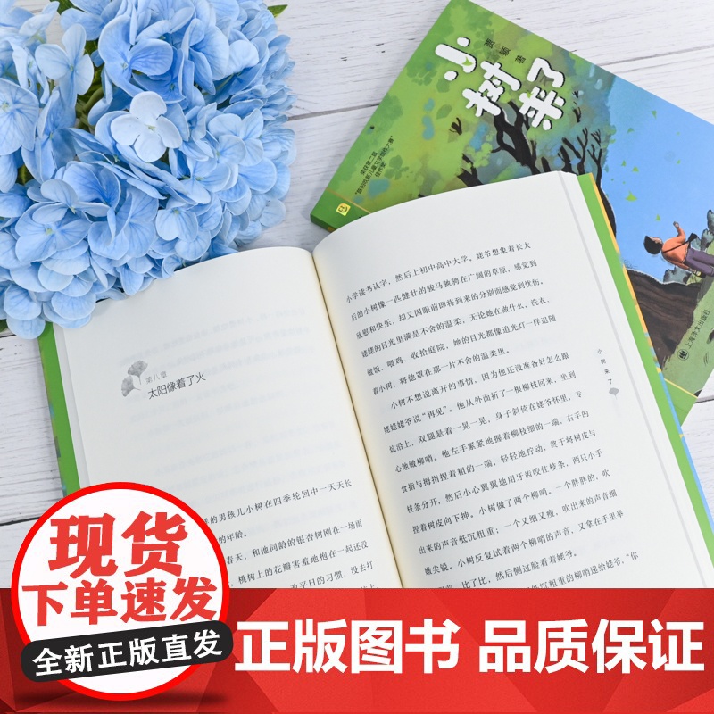 小树来了 陈伯吹新儿童文学桂冠书系 贾颖 著 儿童文学 男孩成长 乡村生活 亲情暖心 离别 陈伯吹新儿童文学佳作奖 上海高清大图