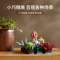LEGO乐高10309多肉植物拼装积木玩具益智收藏礼物