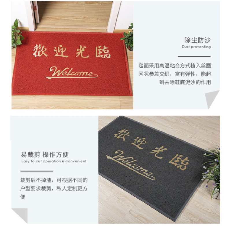 8A迎宾地毯