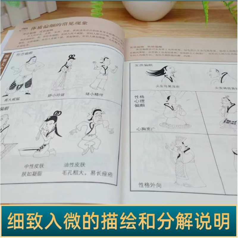 正版新书]一本就能看懂中医:体质篇宋敬东 主编 著9787557649272高清大图