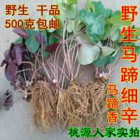 大别山野生 土细辛 马蹄香 马蹄细辛 杜衡 非辽细辛500克