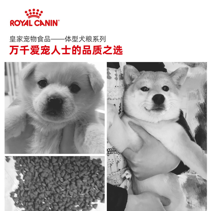 皇家(royal canin) 狗粮 中型犬奶糕 幼犬 MES30 10kg