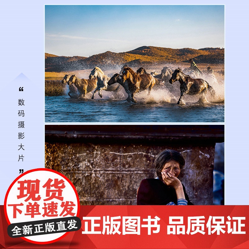 数码摄影零基础入门教程 摄影书籍入门自学构图用光技巧数码单反摄影教程人物风光拍摄技法基础初学摄影书摄影笔记高清大图