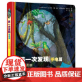 *次发现·手电筒：热带雨林（精装·