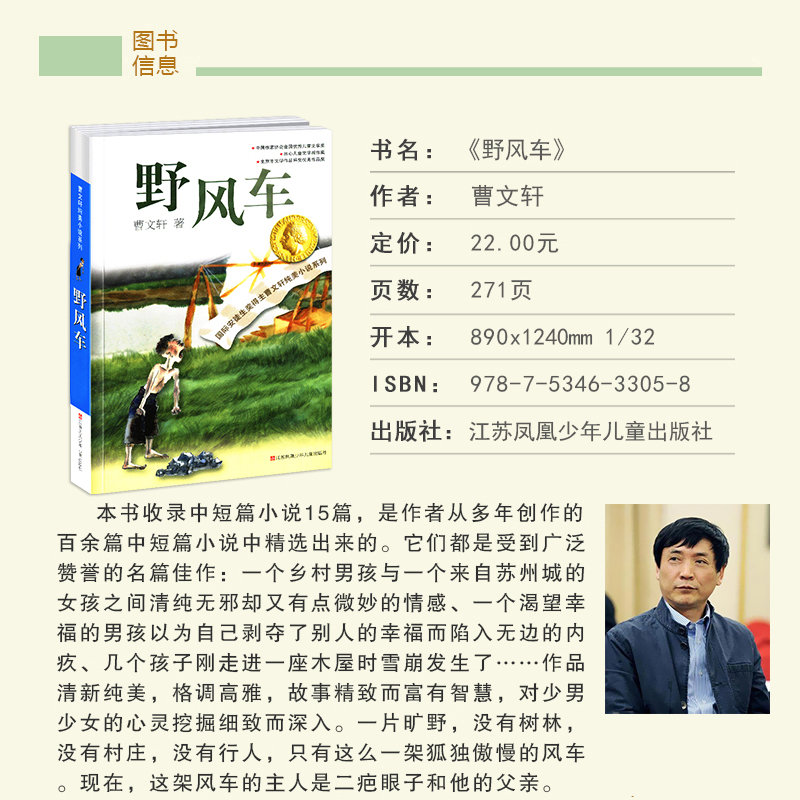 [正版]野风车全套曹 纯美小说系列 初中小学生课外阅读 书籍三四五六年级经典书目江苏凤凰少年儿童出版社安徒生儿童文学高清大图
