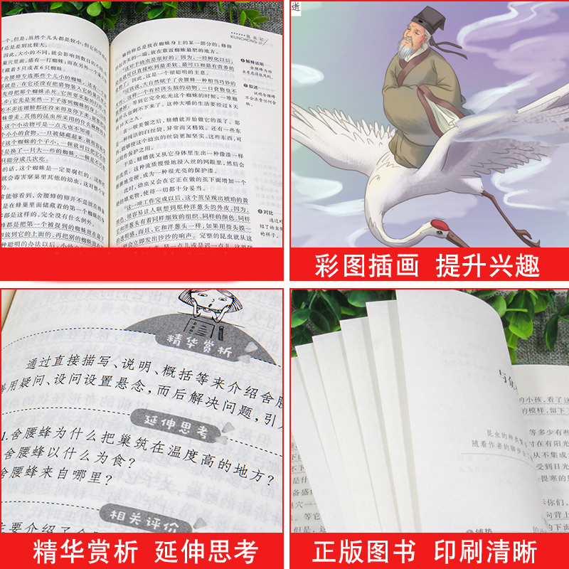 西游记 [正版]同系苏东坡传 作品原版苏轼传书 国学大师林语堂著 名人人物传记 历史名臣传 名人传书苏轼传记名人传记小学高清大图