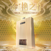 能率(NORITZ) 12升燃气热水器 GQ-12D2CAFEX 智能语音 家用恒温1级能效冷凝式燃气热水器