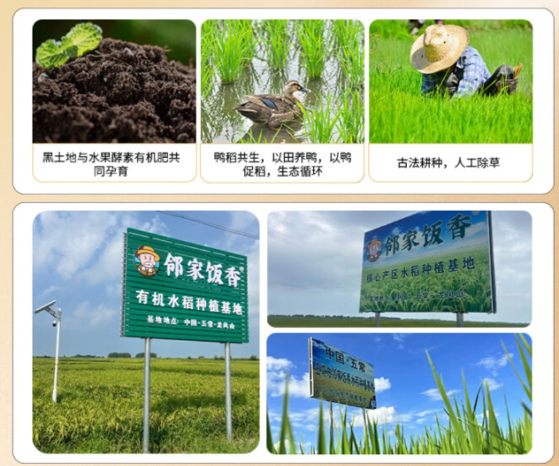 邻家饭香 东北大米 长粒香米 5kg/袋 真空 双层包装 LJFX86-C高清大图