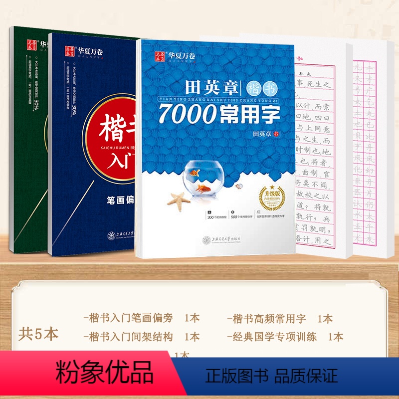 【进阶训练5本】入门→常用字→经典国学 【正版】 楷书入门田英章楷书字帖正楷钢笔字帖成人学生硬笔书法教程初学者基础字帖7