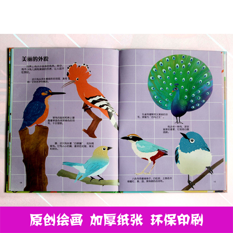 揭秘鸟类 [正版]揭秘鸟类 鸟类百科全书大全绘本 揭秘系列小神童科普世界硬壳绘本幼儿园儿童幼儿趣味漫画科普类书籍小学飞行高清大图