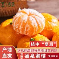 [五个农民]正宗涌泉蜜桔孟平洞无核橘子临海蜜桔带箱10.5斤(净重10斤)中果薄皮应季水果富含维C生鲜40-48只
