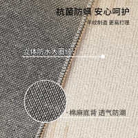 奶油风客厅地毯2024新款高级感沙发茶几防水免洗可擦家用卧室地垫