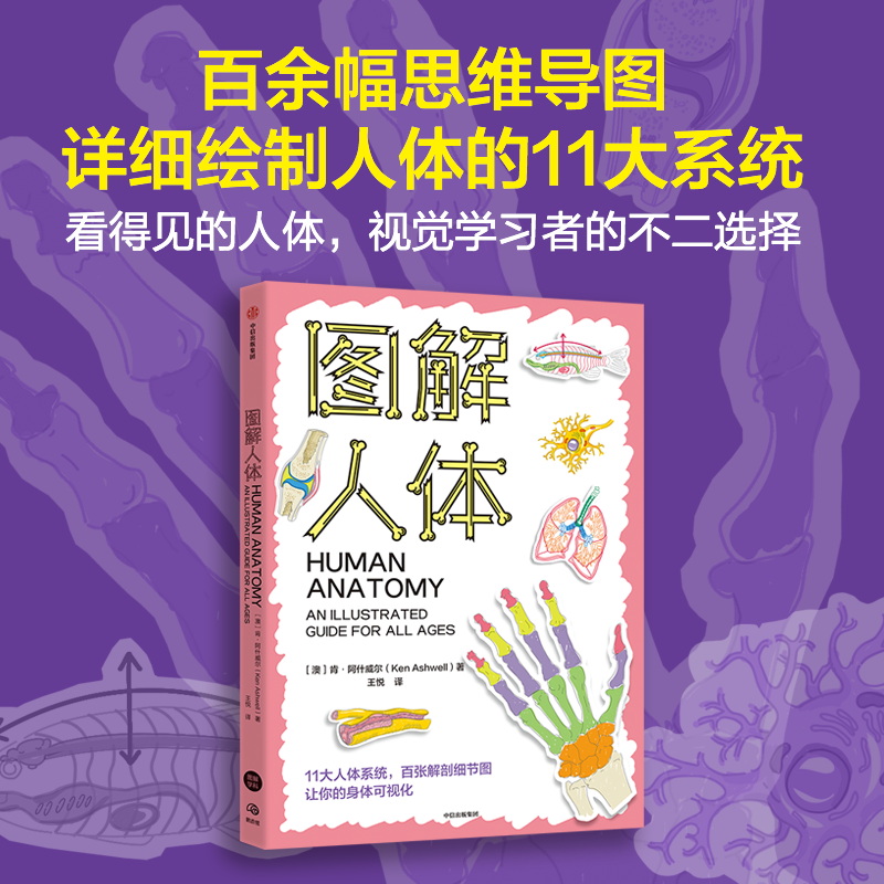 图解化学+图解人体(套装2册) [正版]社群专享图解化学 图解人体 肯阿什威尔 阿里塞泽尔著 出版社图书高清大图