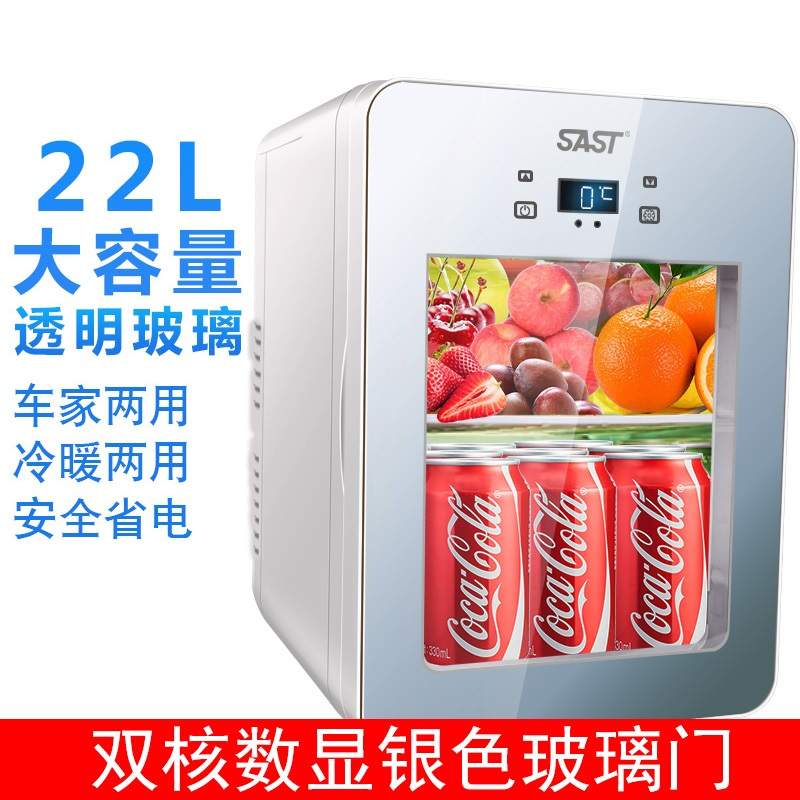 先科(SAST)22L迷你车载冰箱制冷车家两用电子冰箱透明玻璃 学生宿舍便捷式微型小冰箱冷暖箱 22L双核数显 雪花银