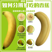 [五个农民]菲律宾进口月牙香蕉 带箱4斤约12根新鲜水果顺丰速运