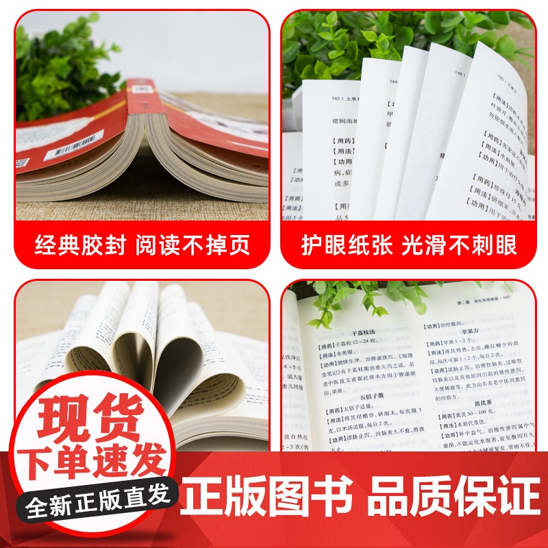 全套3册张至顺道长的土单方正版小方子治大病民间百病食疗实用秘方三册赵霖草药书籍中国医书藩德孚中国土丹方中医养生大全张志顺高清大图