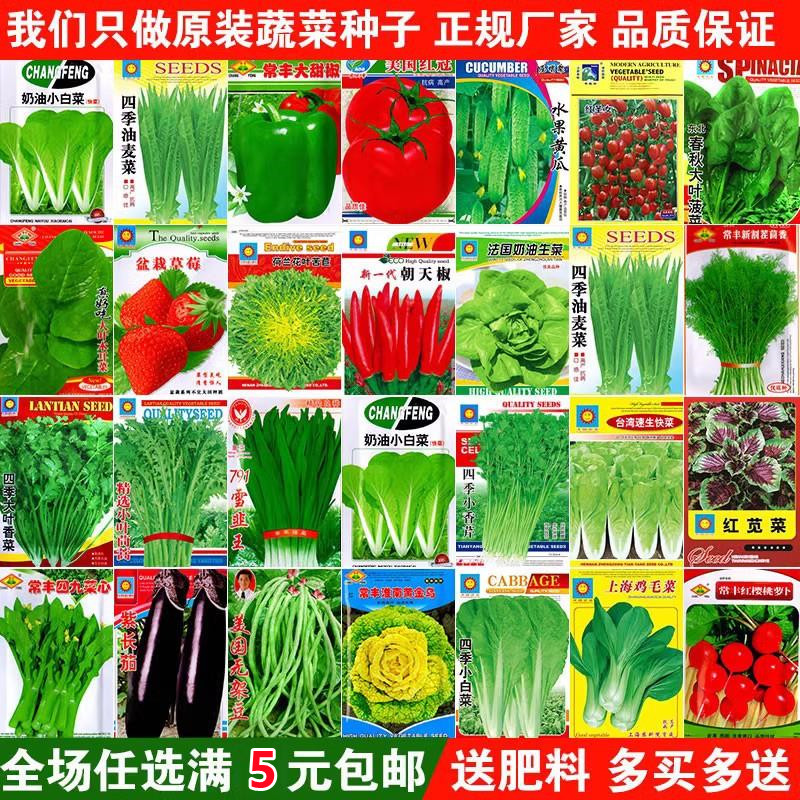 [补贴10%]蔬菜种子四季播盆栽阳台庭院香菜生菜菠菜小葱简单秋易种籽孑大全高清大图