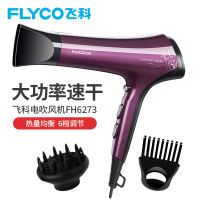 飞科(FLYCO)电吹风FH6273 2200W6档大功率均温变速健康柔风负离子功能冷热风发廊家用吹风筒