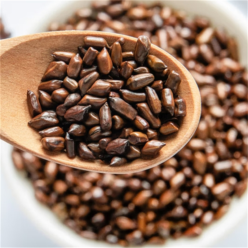 决明子泡茶决明子茶正品旗舰店炒熟决明子茶散装中药材可搭配菊花红枸杞组合高清大图