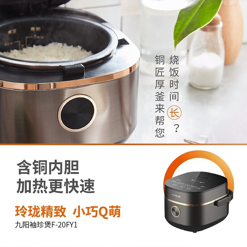 九阳 F-20FY1 电饭煲 2L高清大图
