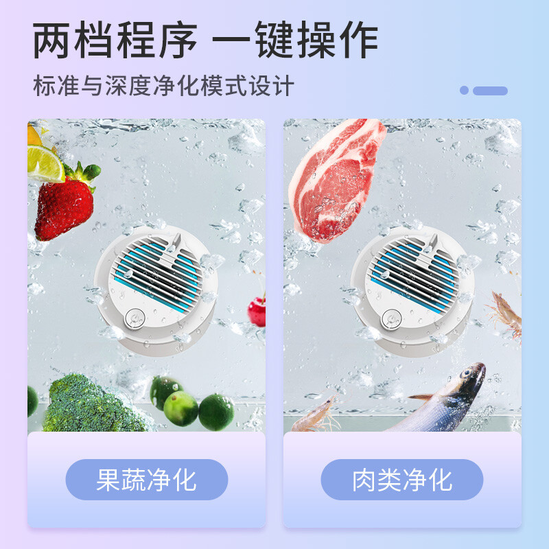 大宇(DAEWOO)洗菜机家用果蔬清洗机全自动蔬菜水果鱼肉虾净食机食材净化机去农残 QX4