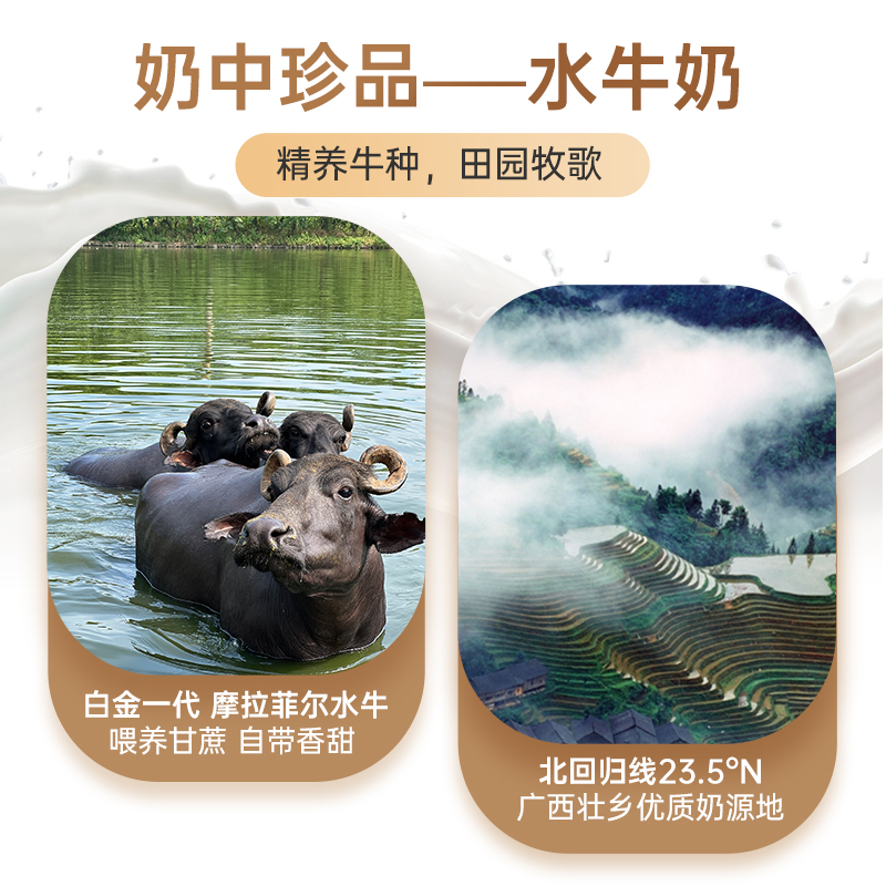 皇氏乳业皇氏水牛纯牛奶200ml*12盒 3.8g蛋白 广西水牛奶学生儿童营养牛奶高清大图