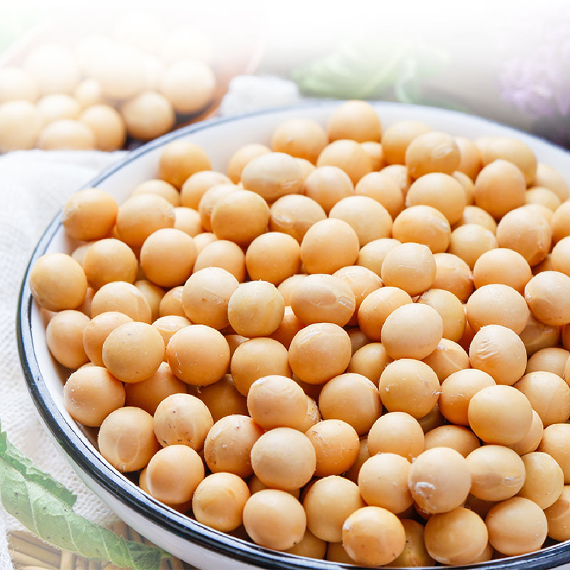 农家自种非转基因黄豆