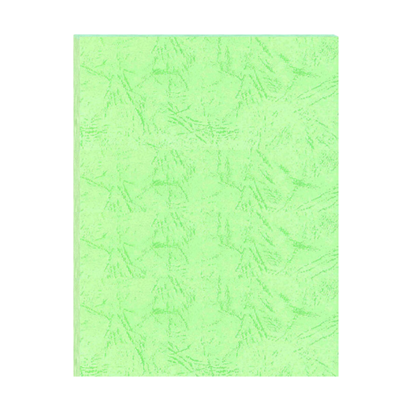 奥驰 皮纹纸180g浅绿色 A4 100张/包高清大图