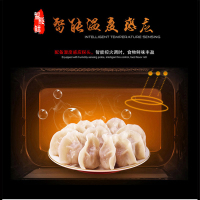 格兰仕(Galanz) 微波炉 G90F25CSPV-BM1(G0)光波炉 智能变频 不锈钢内胆 微蒸烤一体机 苏宁正品
