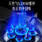 欢呼好太太燃气灶 大火力煤气灶台式嵌入式家用 4.5kw钢化玻璃台嵌两用家用鸳鸯双灶灶具 A199-2 液化气