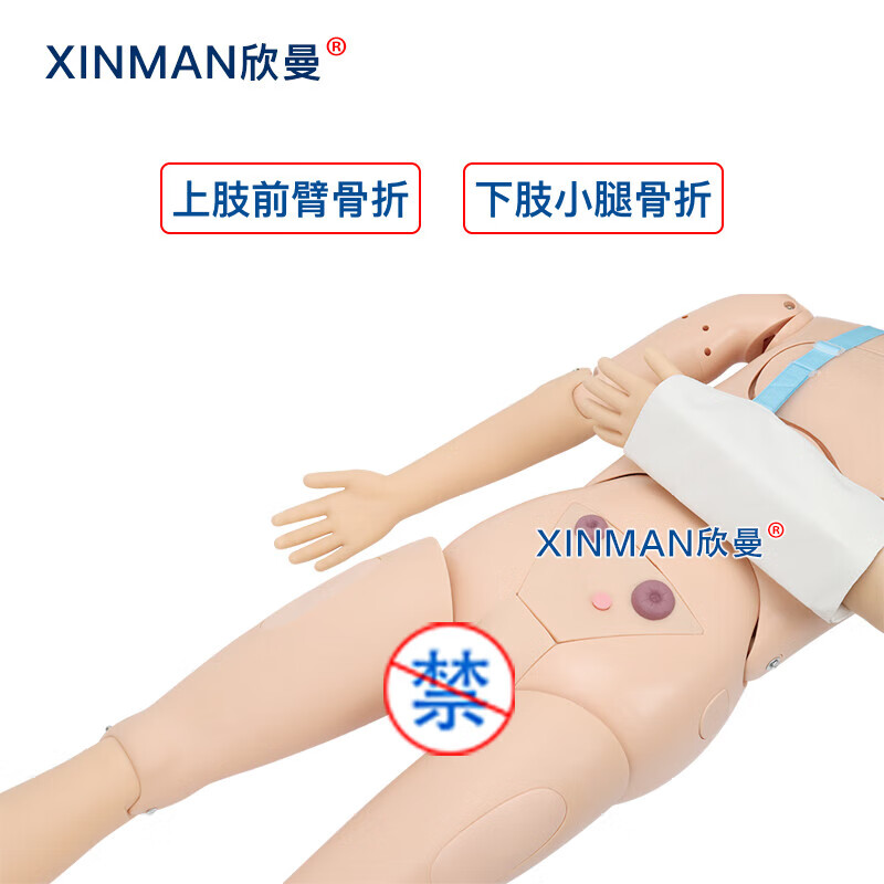欣曼科教 四肢骨折固定训练模拟人 上肢前臂骨折 下肢小腿骨折XM-GZ800高清大图