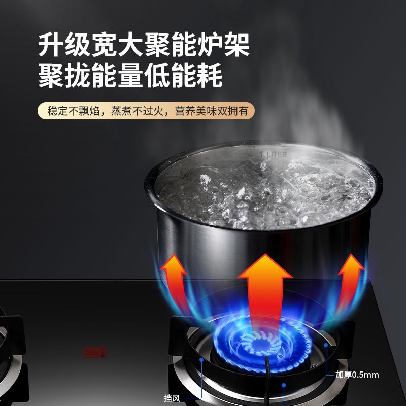 真情好太太燃气灶双灶家用天然气 4.8kW猛火灶具 台式嵌入式煤气灶双灶 HTT-R02A 天然气(不含安装)