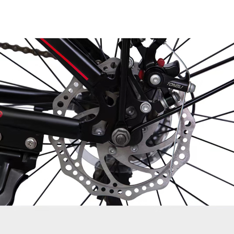 凤凰(PHOENIX) 20寸 单速折叠自行车-路雪高清大图