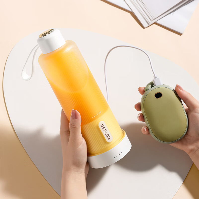 德世朗 便携榨汁机-小风扇(套装)DDQ-TZ01 小型便携水果电动榨汁杯+高速手持风扇 (纯白)高清大图