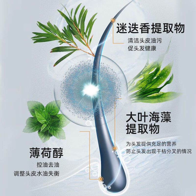 采乐同康去屑洗发露(清爽洁净)750ml CL06高清大图