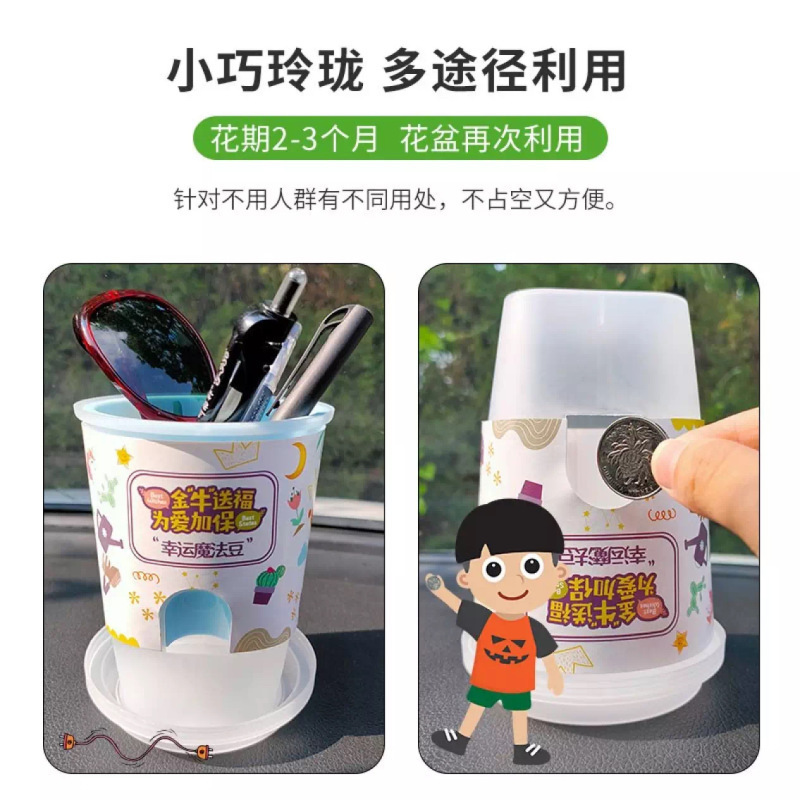 花样汇开心农场牵牛花魔术花盆