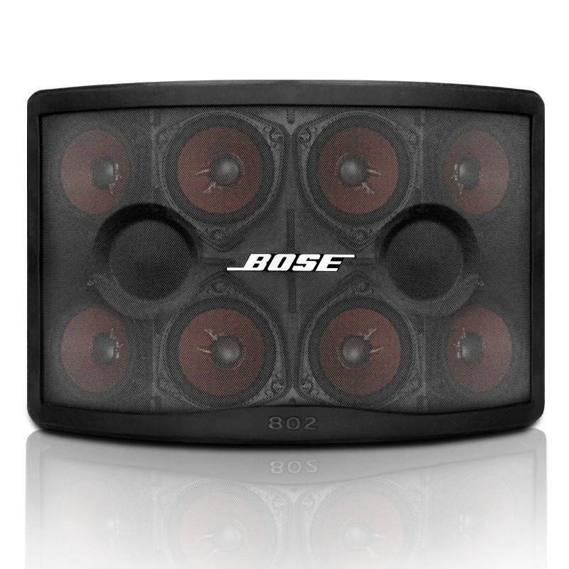 博士/BOSE 802Ⅳ 全频扬声器 会议卡拉OK音箱 全天候防水专业阵列