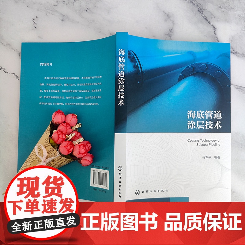 海底管道涂层技术 海底管道成型技术铺设技术 海底管道设计涂装铺设维修参考书 海底管道腐蚀环境 海底管道涂层 油气储运工程高清大图