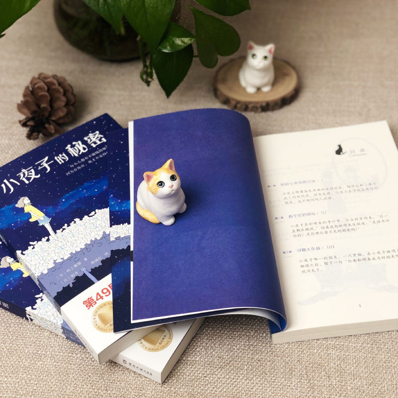 [国际大奖书系]最后的精灵 [正版]小夜子的秘密 村上雅郁著柏井绘 荣获第49届日本儿童文学新人奖 青少年长励志读物 中高清大图