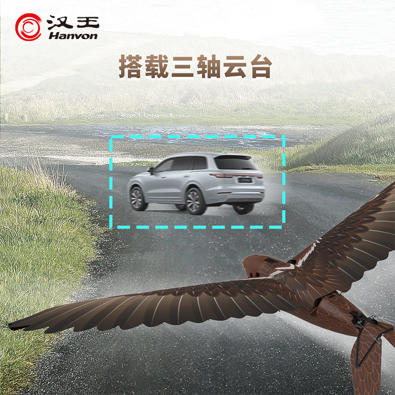 汉王(Hanvon) 仿翼白头鹰plus全套高清大图