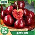 【苏鲜生】山东美早大樱桃 J级 净重1.8斤