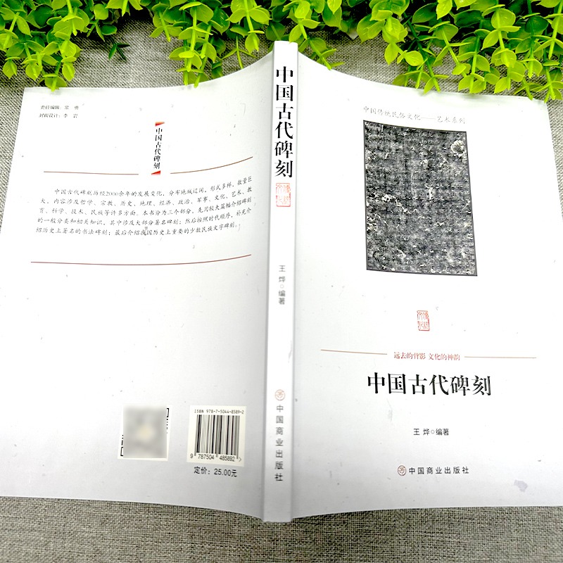 [正版]中国古代碑刻 碑刻的形式分类 内容分类 制作整理研究与应用著名书法碑刻少数民族文字碑刻等 中国传统民俗文化艺术高清大图