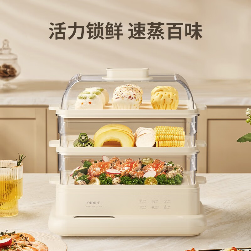 德国OIDIRE 多功能电蒸锅 ODI-DZ01