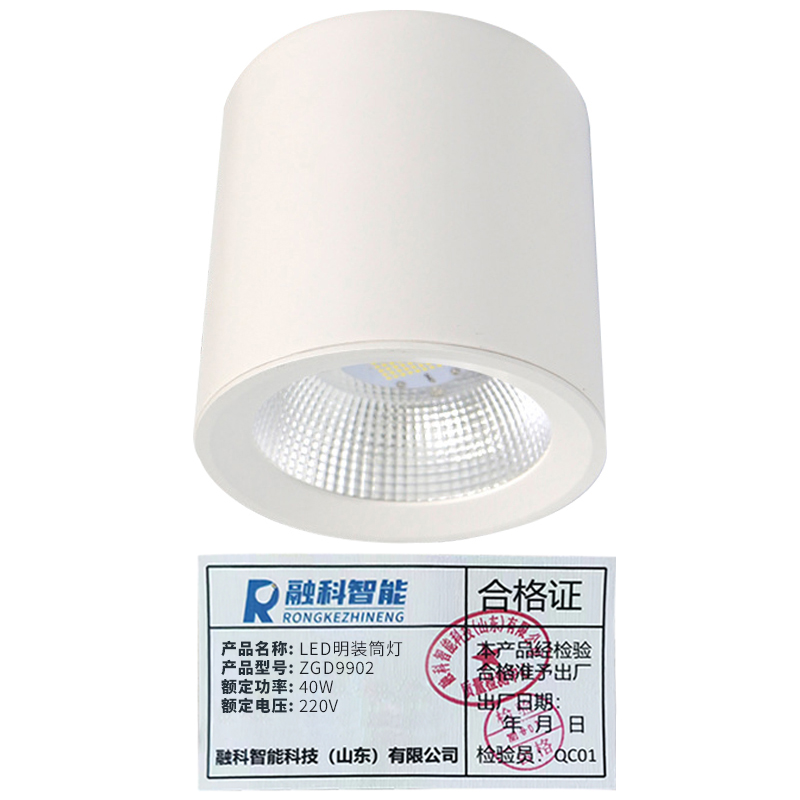 RKZN融科智能LED明装筒灯ZGD9902 40W