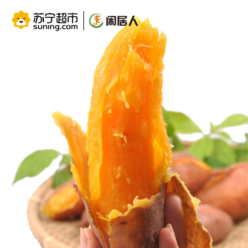 闲居人 山东红薯 红心蜜薯 红薯 地瓜 约2.5kg 新鲜蔬菜