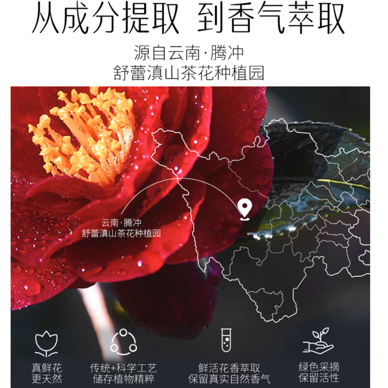 舒蕾山茶花洗沐礼盒500g+500ml高清大图