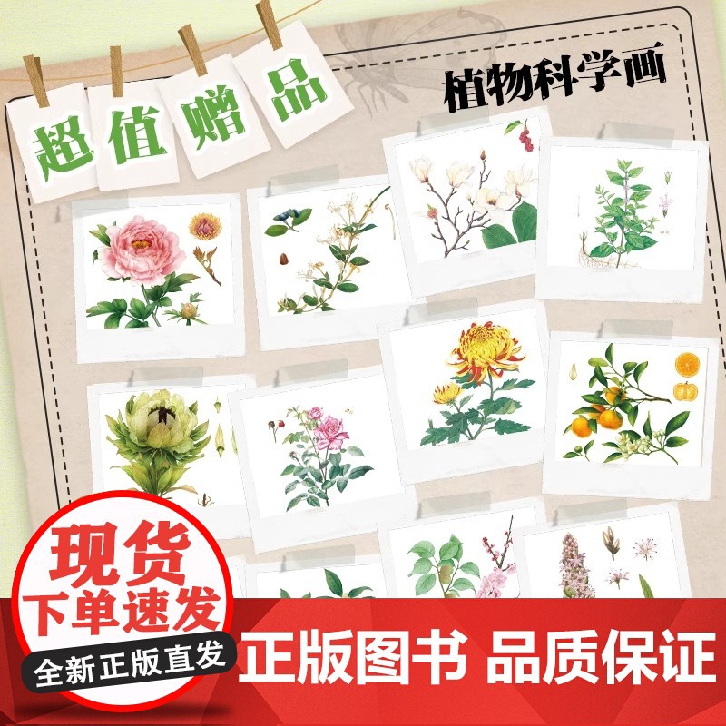 [央视网]中国植物中国动物很高兴认识你全8册 儿童自然百科全书通识绘本5-12岁小学生科普启蒙读物四季的变化绘本故事书籍高清大图