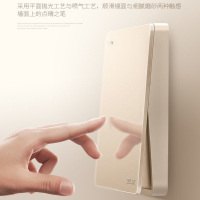DELIXI德力西86型开关插座821纯平大板香槟金二三插五孔电脑电话电视电源家用开关插座面板 电子电工